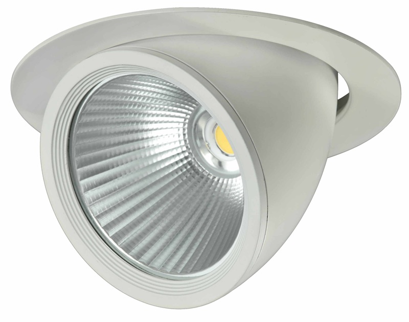 DOWNLIGHT LED 30W. COB ORIENTABLE-